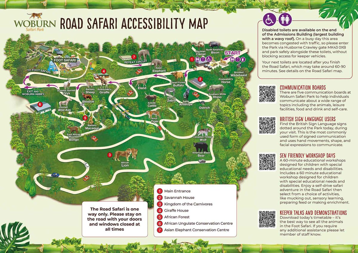Image of woburn safari accessibility road safari 2025.jpg web