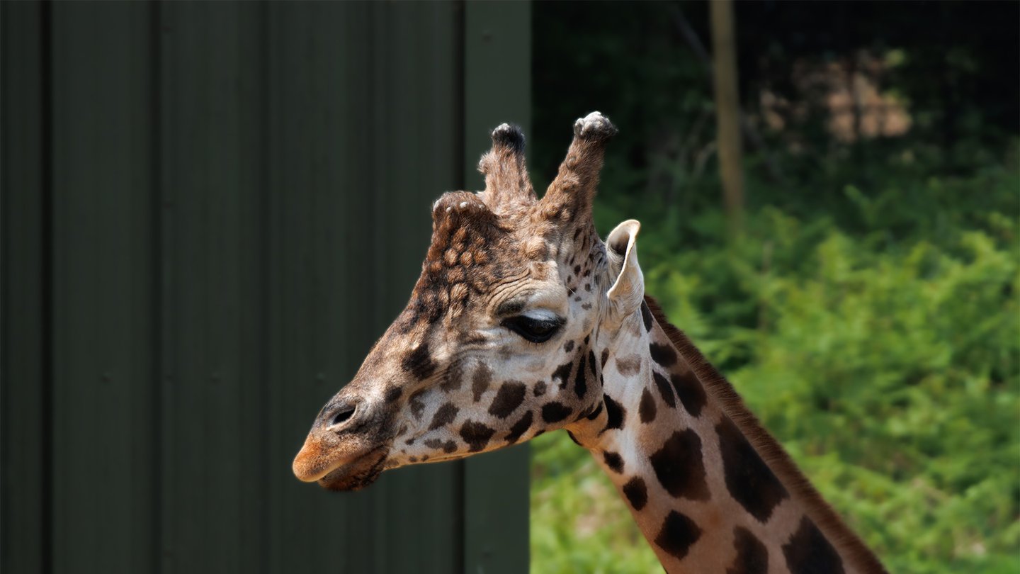 Image of casper side profile web landscape 1920x1080