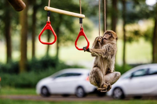 Image of wsp july 21 two d photography 55 web desktop